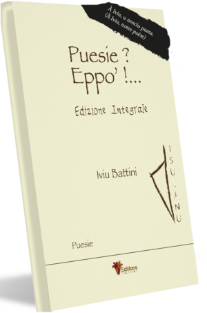 bandeau noir et couveture copie